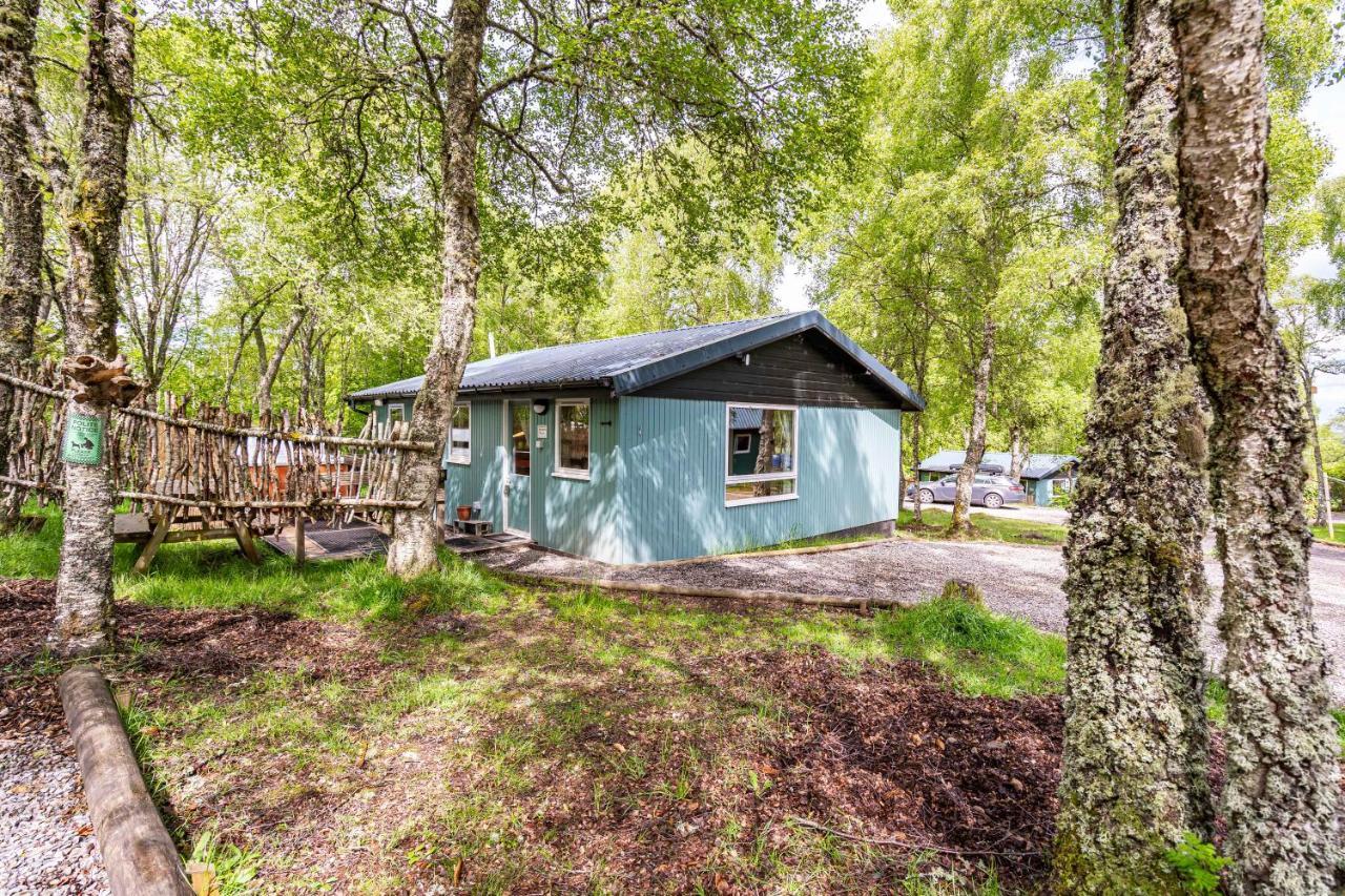 Heather Lodge 10 With Hot Tub Belladrum Exterior foto